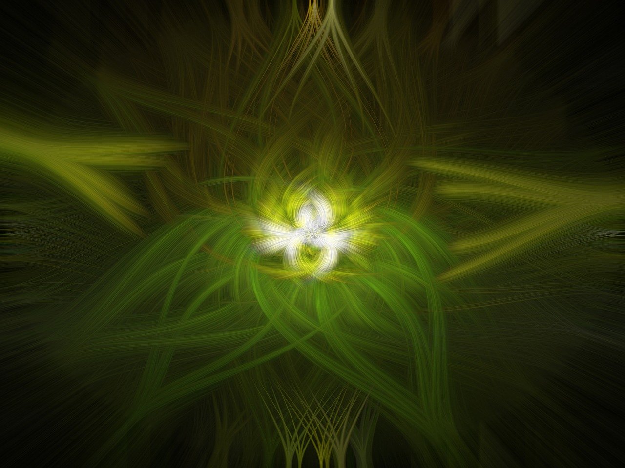 穎上黃橋最新動態揭秘，發展脈絡、未來展望與最新進展分析